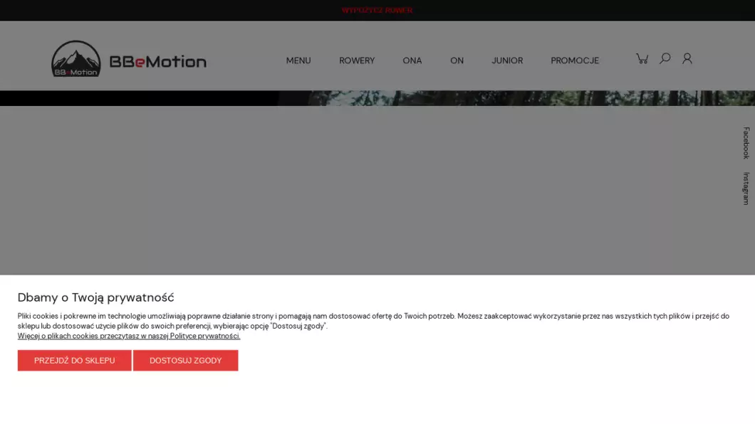 Internetowy sklep rowerowy Bielsko-Biała | BBeMotion - podgląd